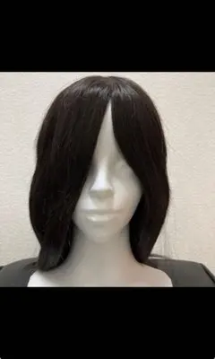 [医療用/ハイスペック]ブラックロングウィッグ センター分け