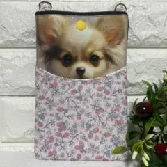 [240]ひょっこりチワワちゃん♡表裏ポケット付きスマホポーチ・パネル生地