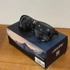 AirFly サングラス AF-402 C-2