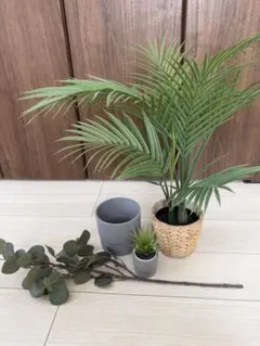 IKEA イケア フェイカ　人工観葉植物　植木鉢　まとめ売りのサムネイル