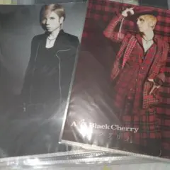 Acid Black Cherry　ミニクリアファイル　ピストル　シャングリラのサムネイル