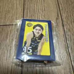 宇都宮ブレックス ミニチュアアートイーゼル 石川裕大