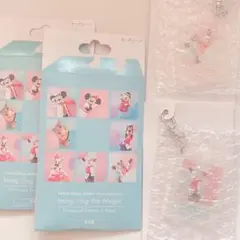 イマジニング キーチェーン チップとデール セット