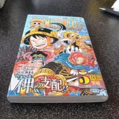 ONE PIECE 113