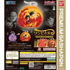 ワンピの実 GRAND CAPSULE Vol.02 スペシャルver.