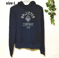 【HOLLISTER】Men's size L 銀色ロゴ刺繍  着用感あり