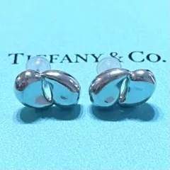 最終値下げ　ティファニー　シルバーピアス　片耳 2025年最新】ティファニー ピアス 片耳の人気アイテム - メルカリ