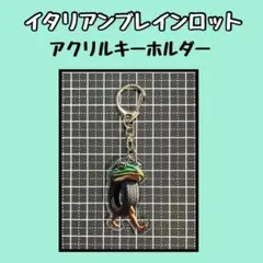 イタリアンブレインロット　アクリルキーホルダー　ボネカ　アンバラブ　カエル