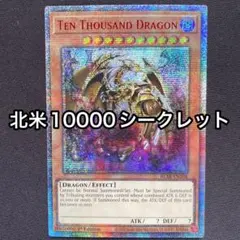 2026年最新】万物創世龍の人気アイテム - メルカリ