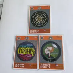 Item thumbnail for item ee85e21d-48c8-417b-bd77-38c032415c65