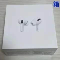 AirPods Pro1 外箱・説明書のみ 第一世代 本体なし MWP22J/A