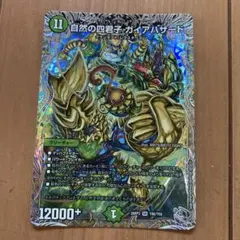 自然の四君子 ガイアハザード　銀トレジャー