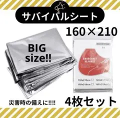 Item thumbnail for item 5080ba8a-2349-4c81-bf31-cab94bdddf44