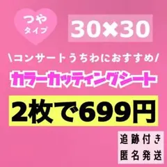 艶あり うちわ用 規定外 対応サイズ カッティングシート キャンディピンク　2枚のサムネイル