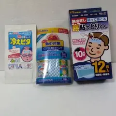 Item thumbnail for item 4beaaa66-8dbd-4672-8819-71218ec6a9ff