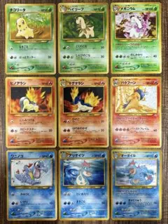 ポケモンカードneo 旧裏 プレミアムファイル 旧裏 初版 マークなし 御