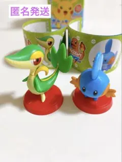 ポケモン　チョコエッグ　ミズゴロウ　ツタージャ　2体　まとめ売り　匿名発送