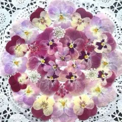 Item thumbnail for item 7e0f8904-bf01-438e-baf2-65ed5db93d3c