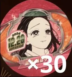 鬼滅の刃 竈門禰豆子 缶バッジ 17個セット バッジ・ピンズ 竈門禰豆子 「鬼滅の刃 全集中展 -無限列車編