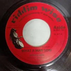 Prince Alla / What A Man Sow 7インチ