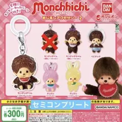 モンチッチ めじるしアクセサリー2 5種セット セミコンプリート