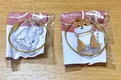 タイムカプセル わんこのタイムカプセル　モカ　まめ　柴犬 キーホルダー