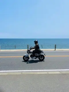 Item thumbnail for item e4f54df8-27f7-4b3a-8900-5cbbf3c64367