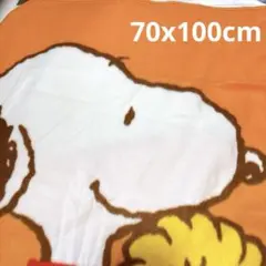 新品 スヌーピー フリースブランケット オレンジ ミスタードーナツ ダスキン