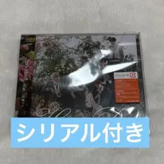 DXTEEN Heat Beat シリアル付き