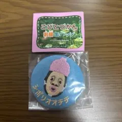 こびとづかん　刺繍　缶バッチ　シボリオオチチ　未開封