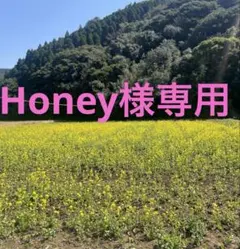 Honey様専用ページです♡