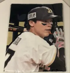 オリックス・バファローズ 中川圭太選手 コロコロチャレンジ C賞