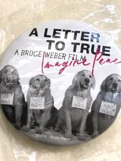 新品未開封 トゥルーへの手紙 ブルース・ウェバー 限定版 BRUCE WEBER