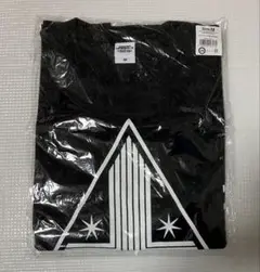三代目J Soul Brothers 2017ライブツアーTシャツ Mサイズ