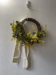 ミモザとユーカリのハーフリース