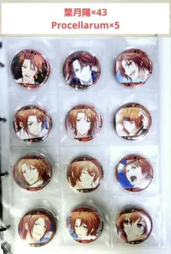 ツキウタ。葉月陽 全48個 グッズセット2