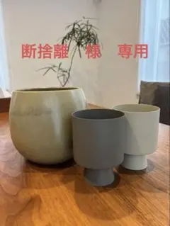 ACTUS TJS DOM IMBH20 植木鉢 ACTUS TJS DOM IMBH20 植木鉢