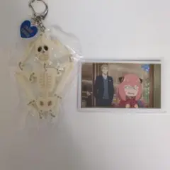 spy×family ユニバ コレクタブル