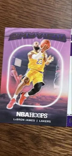 LeBron James NBAカード