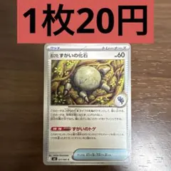 古びたずがいの化石 C 残り3枚のサムネイル