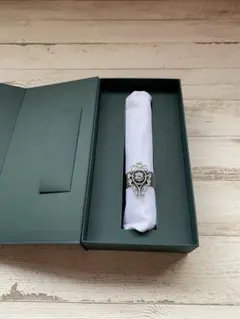 Item thumbnail for item 1fdd8454-135b-4b20-a173-dab4b8ef5afc