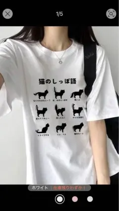 Item thumbnail for item 4bbc5d40-c0e7-413e-949a-2be7eda44c67