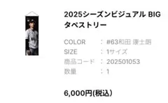 2025シーズンビジュアル BIG タペストリー