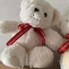 JRタワーホテル日航札幌 テディベア ぬいぐるみのサムネイル