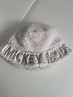 ディズニー ボア バケハ