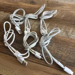 ホワイト LightningとUSBケーブル 6本セット
