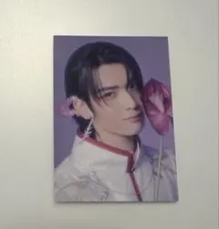 武藤潤 文藝解体新書 観測所盤 トレカ