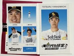 福岡ソフトバンクホークス 柳町達選手 証明写真風 若鷹ガチャ