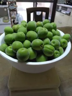 梅4.5kg7（糸島産EM栽培)