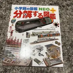 Item thumbnail for item 55be15d3-754f-481a-b709-fdce2e4ca6a6